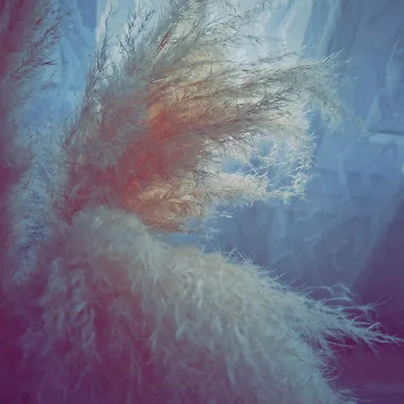 Le Trinidad Appartamento *