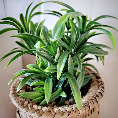 Le Trinidad Appartamento Troyes